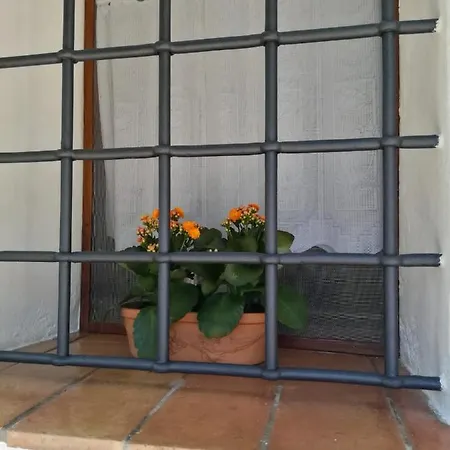 Dom wakacyjny La Dolce Vite