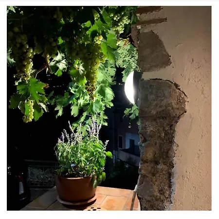 La Dolce Vite Dom wakacyjny *