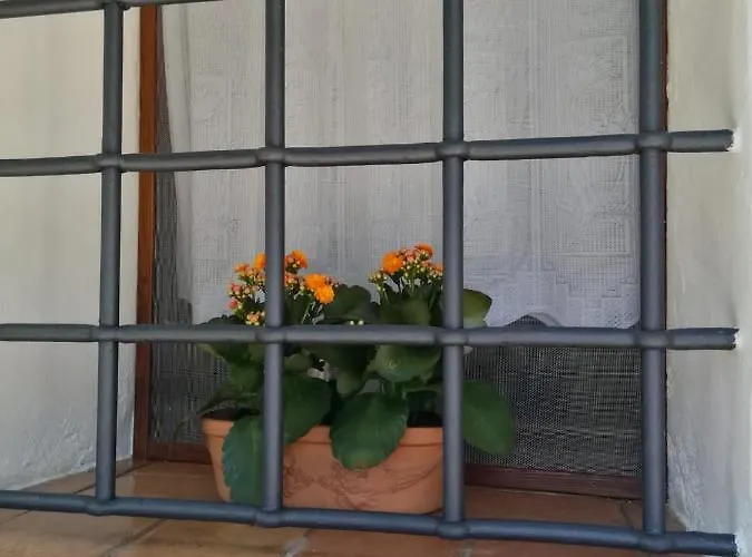 Nyaraló La Dolce Vite